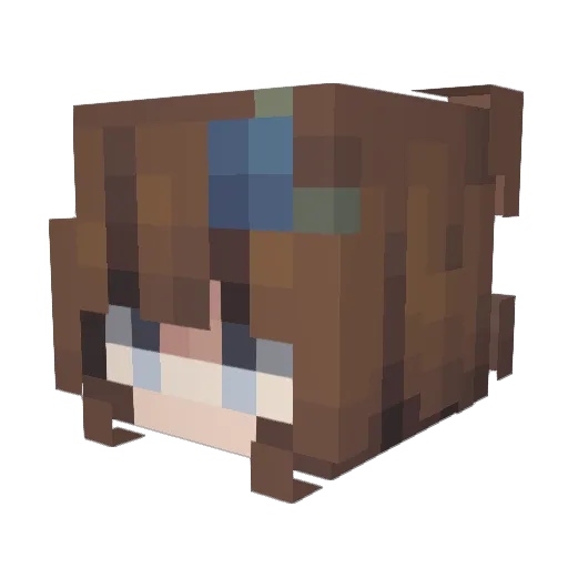 XelquaGamingYT Minecraft avatar head, 3D render
