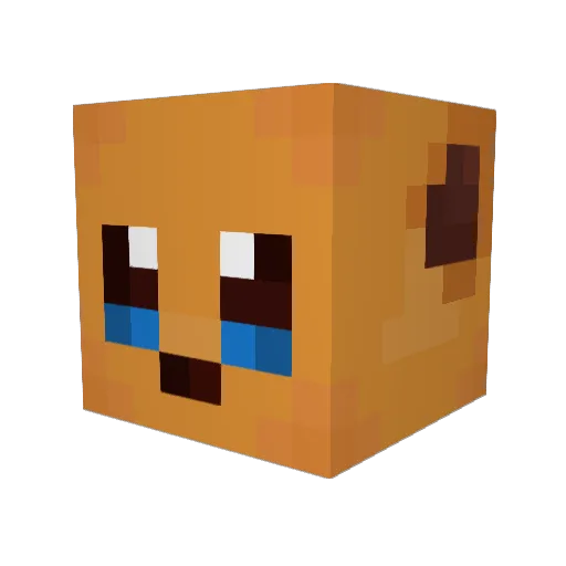 Xeltra21 Minecraft avatar head, 3D render