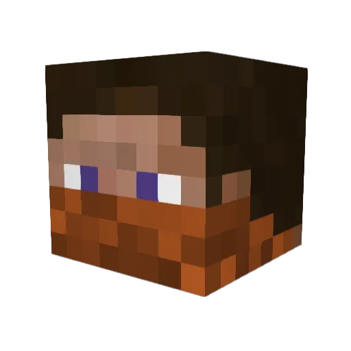 Xelu123 Minecraft avatar head, 3D render