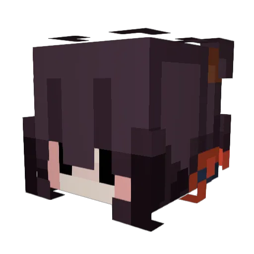 Xeluqa_s Minecraft avatar head, 3D render