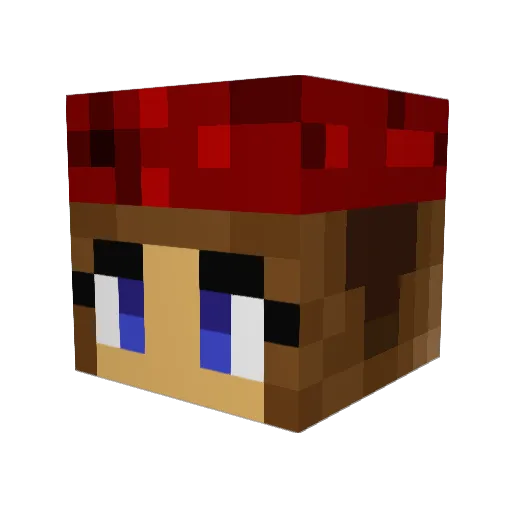 Xemeria Minecraft avatar head, 3D render