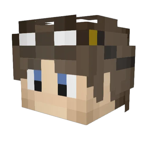 Xen91 Minecraft avatar head, 3D render