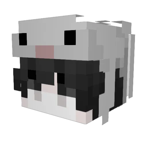 Xen_Xen_ Minecraft avatar head, 3D render