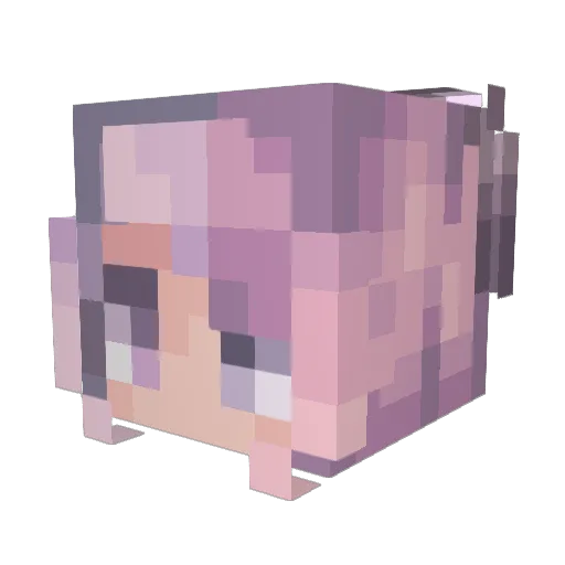 Xenaji Minecraft avatar head, 3D render