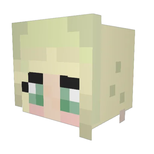 Xenan20 Minecraft avatar head, 3D render