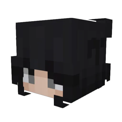 Xene69 Minecraft avatar head, 3D render