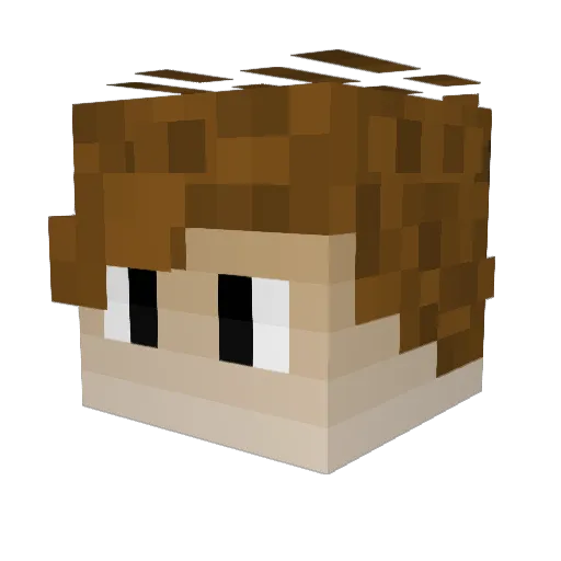 Xenhas Minecraft avatar head, 3D render