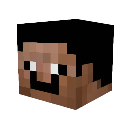 Xeni_NinjaDwarf Minecraft avatar head, 3D render