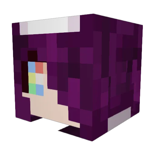 Xenias_ Minecraft avatar head, 3D render