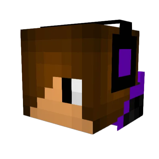 XenionFlair Minecraft avatar head, 3D render