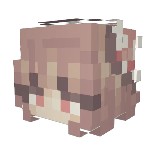 XenoSwifts Minecraft avatar head, 3D render