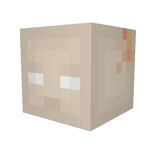 Xeno_1472 Minecraft avatar head, 3D render