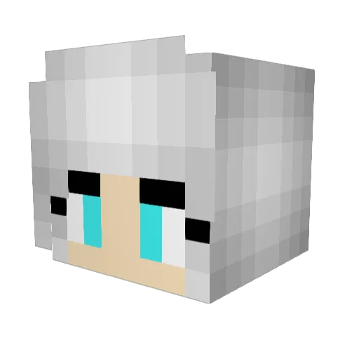 Xenobee Minecraft avatar head, 3D render