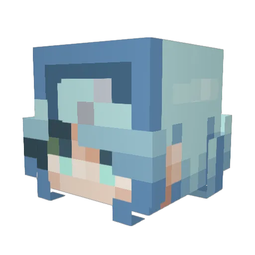 Xenodash Minecraft avatar head, 3D render