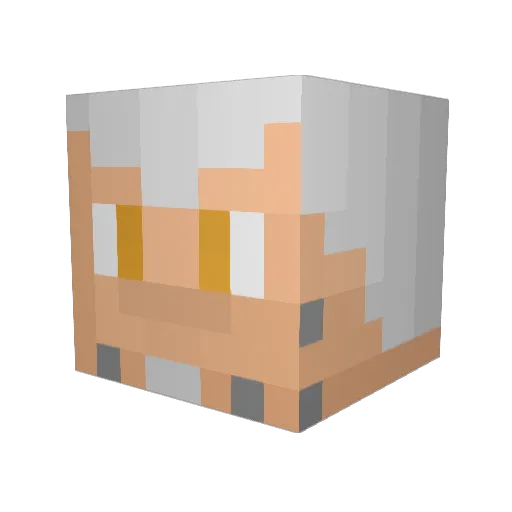 Xenofly Minecraft avatar head, 3D render
