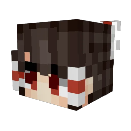 Xenon2462 Minecraft avatar head, 3D render