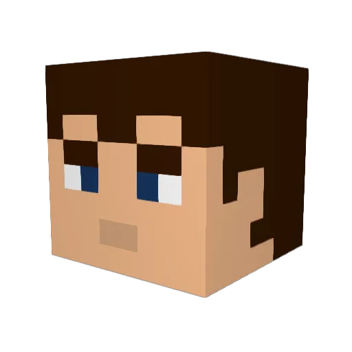 Xenon45 Minecraft avatar head, 3D render