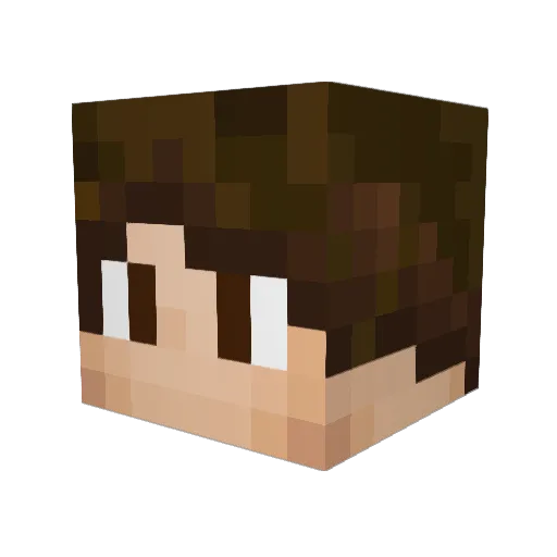 XenonEchos Minecraft avatar head, 3D render