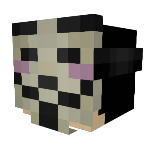 XenonWTF Minecraft avatar head, 3D render