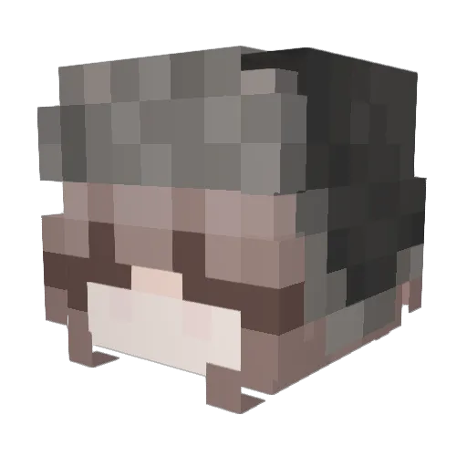 Xenon_ne Minecraft avatar head, 3D render