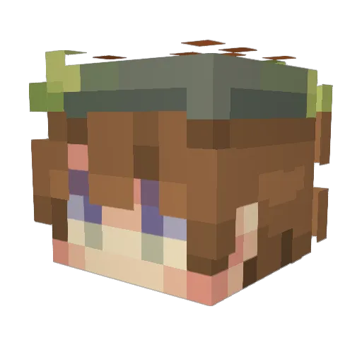 Xenonichaos Minecraft avatar head, 3D render