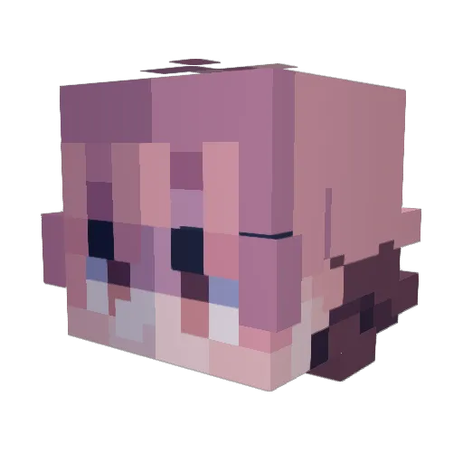Xenonto Minecraft avatar head, 3D render