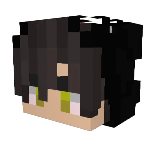 Xenookk Minecraft avatar head, 3D render