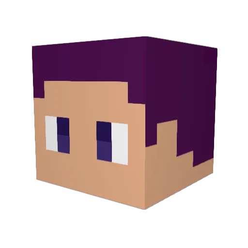 XenooneX14 Minecraft avatar head, 3D render