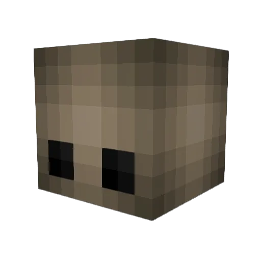 XenorMc Minecraft avatar head, 3D render