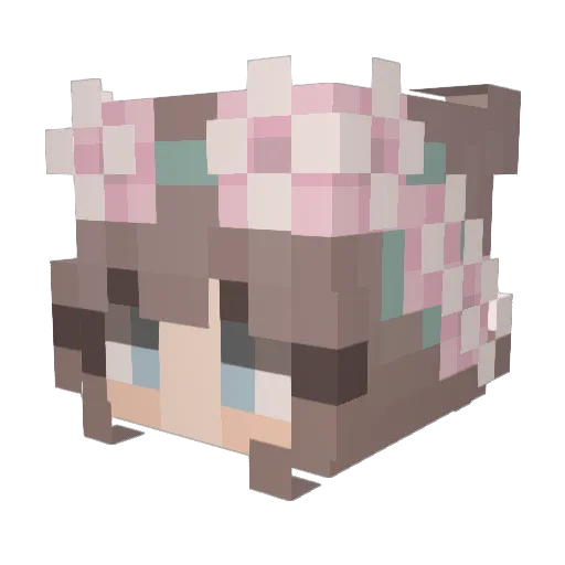 Xenox25 Minecraft avatar head, 3D render