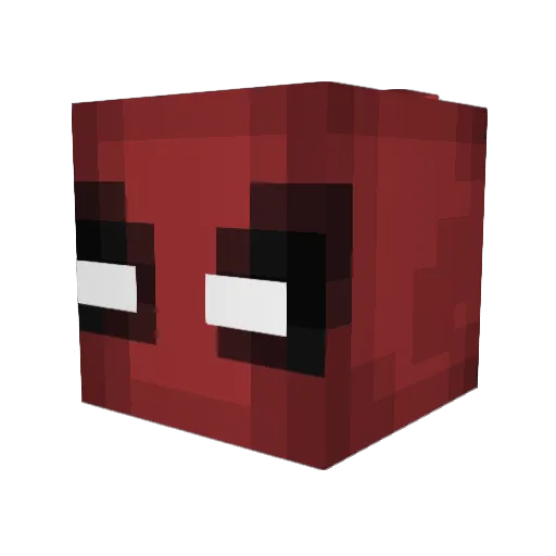 Xenoyr Minecraft avatar head, 3D render