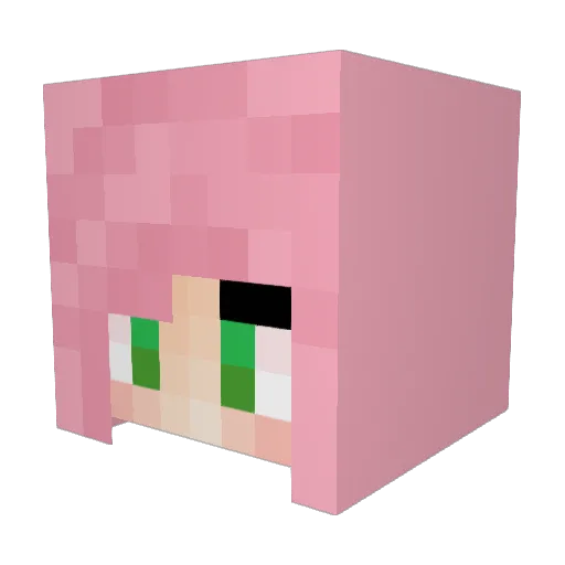 Xenrinire Minecraft avatar head, 3D render