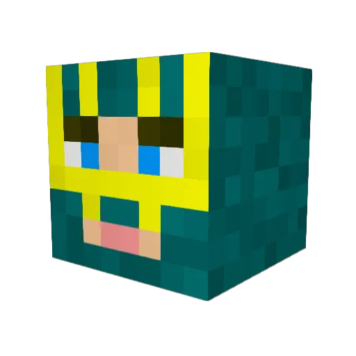 Xentex98 Minecraft avatar head, 3D render