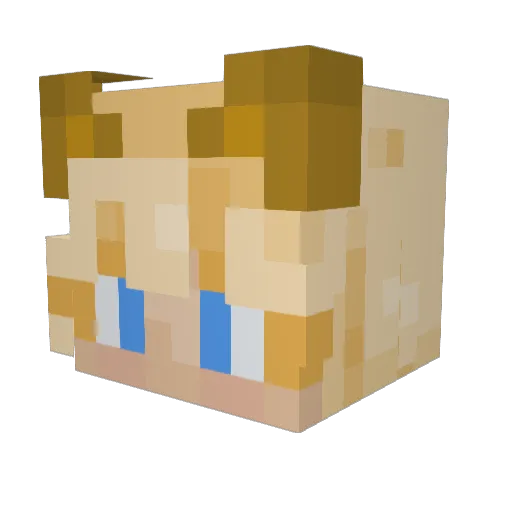 Xeo505 Minecraft avatar head, 3D render