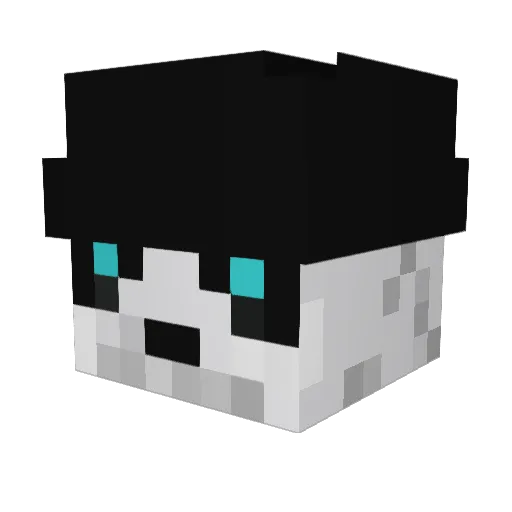 Xeon91 Minecraft avatar head, 3D render