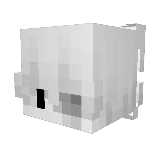 Xeonn12 Minecraft avatar head, 3D render