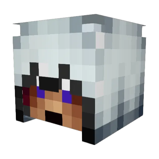 Xera81 Minecraft avatar head, 3D render