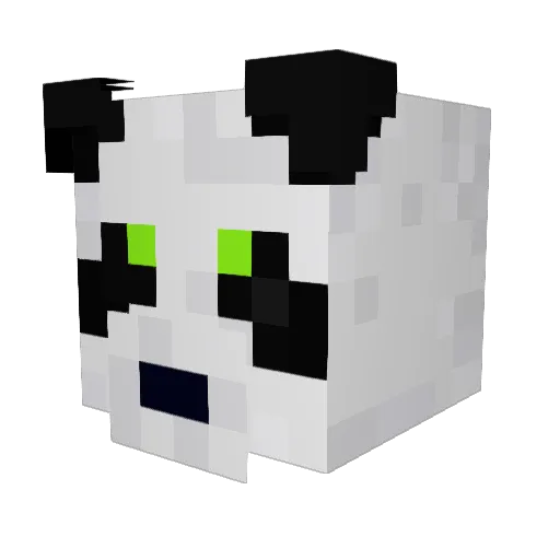 Xerain101 Minecraft avatar head, 3D render