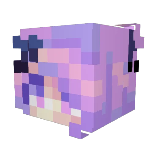 Xeratous Minecraft avatar head, 3D render