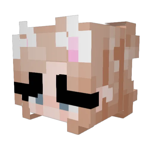 Xeravax Minecraft avatar head, 3D render
