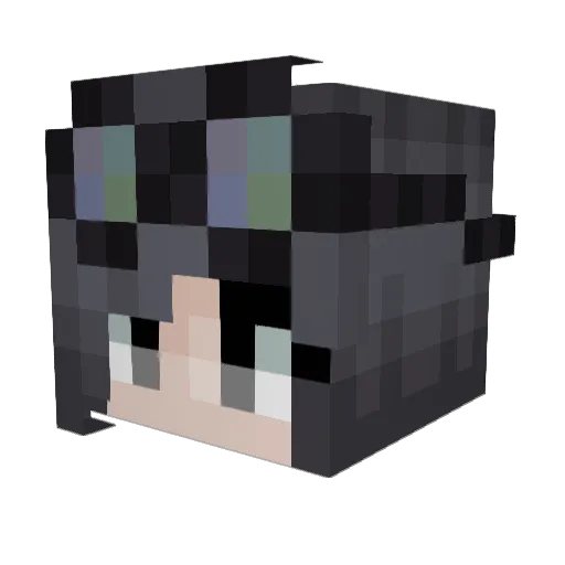 Xeri_ Minecraft avatar head, 3D render