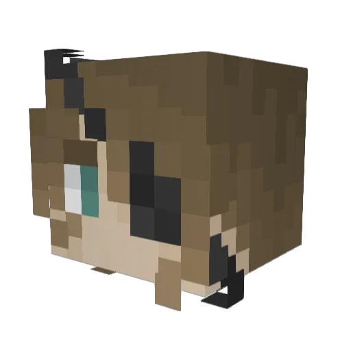 Xeriscape36 Minecraft avatar head, 3D render