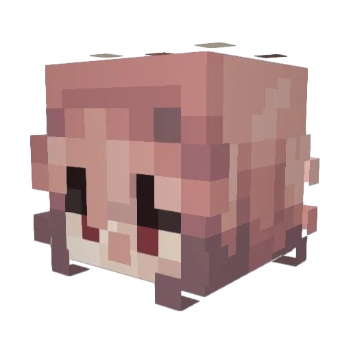 Xernyeas Minecraft avatar head, 3D render