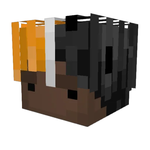 Xernyfishy Minecraft avatar head, 3D render