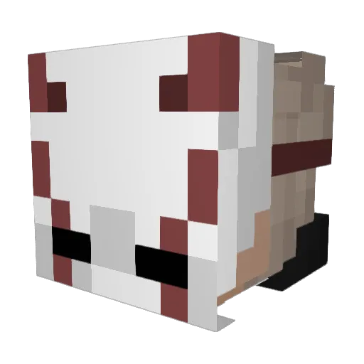 Xerof Minecraft avatar head, 3D render