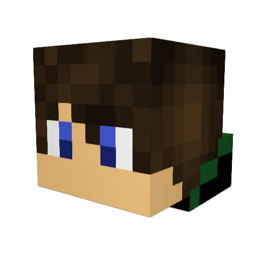 XeroidSetups Minecraft avatar head, 3D render