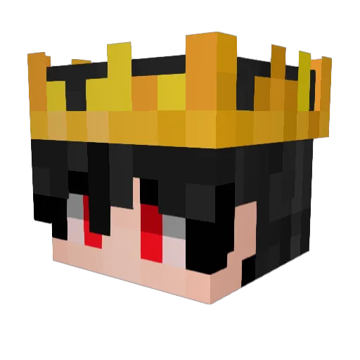 Xeroo11 Minecraft avatar head, 3D render