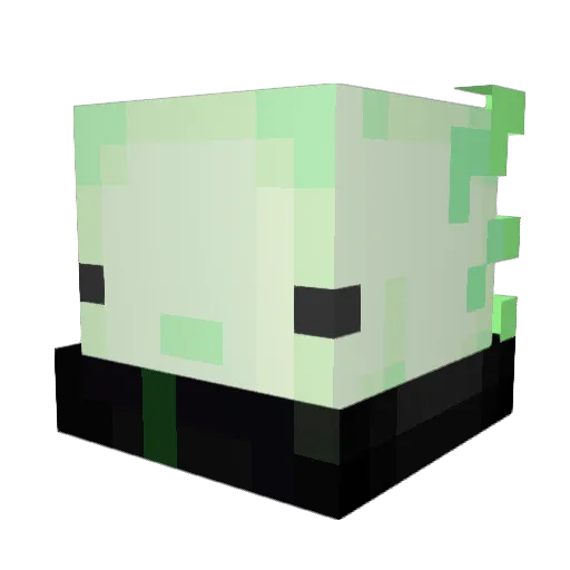 Xeroo79 Minecraft avatar head, 3D render