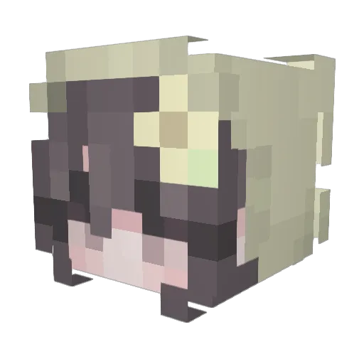 Xerosin Minecraft avatar head, 3D render