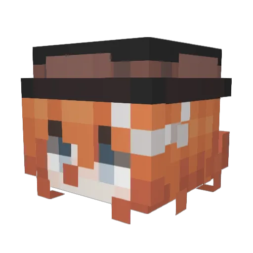 Xerties Minecraft avatar head, 3D render